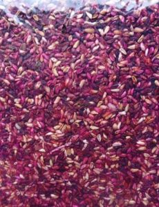 Dry Rose Petals