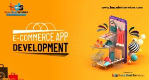 E-commerce Shopping Website &AMP; App Development Service