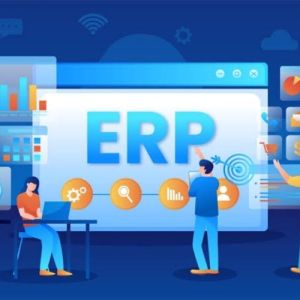 ERP Software Development Service
