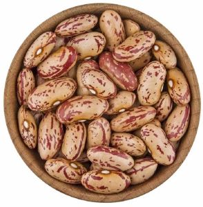 Chitra Kidney Bean