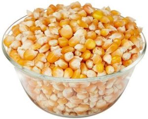Organic Indian Dry Makka Maize