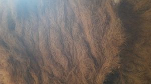 Brown Coco Fibre