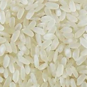 Short Grain Non Basmati Rice