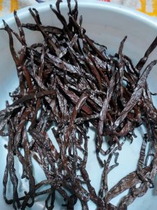 Indian Vanilla Beans