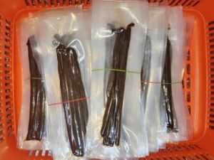 Dry Vanilla Beans