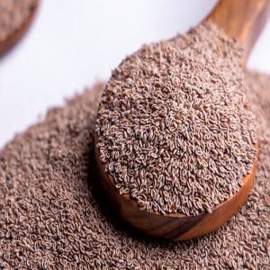 Psyllium Seeds