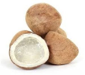 Dry Coconut