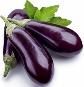 Fresh Brinjal