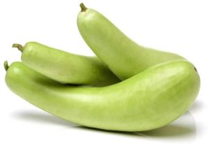 Green Bottle Gourd