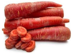 Red Carrot