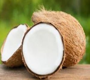 Semi Husked Coconuts