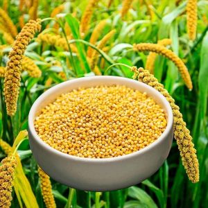 Foxtail Millet Rice
