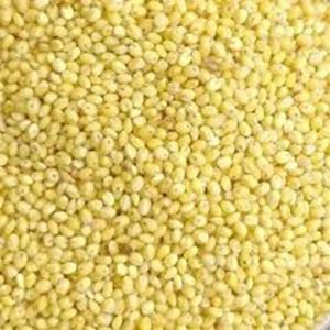 Natural Proso Millet Rice