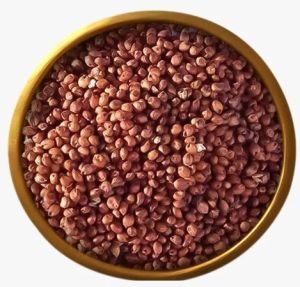 Red Sorghum Rice
