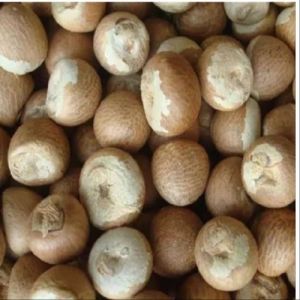 Dry Betel Nuts