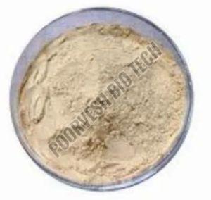 1000 TU Papain Enzyme Powder