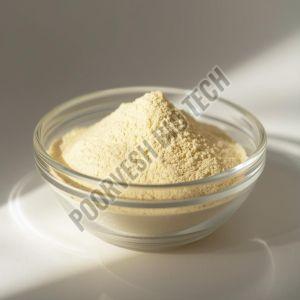 600 TU Papain Enzyme Powder