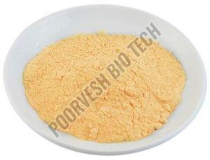 800 TU Papain Enzyme Powder