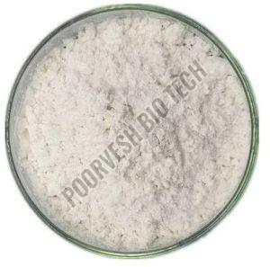 Meat Tenderizing Enzyme Powder