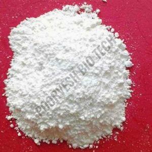 Pepsin Enzyme Powder