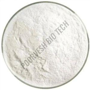 Ultra Refined Papain Powder