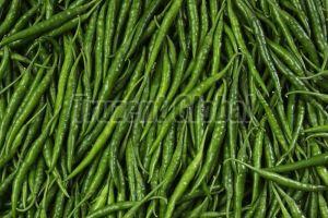 Fresh Green Chilli