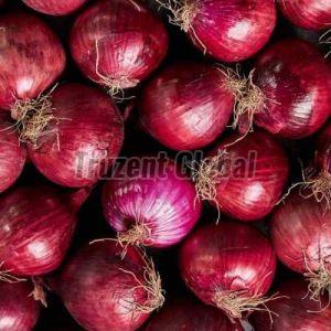 Fresh Red Onion