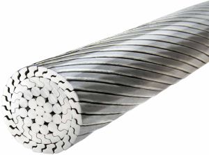 200 Sqmm AAAC Wolf UP Conductor