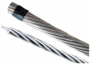 232 Sqmm AAAC Panther Conductor