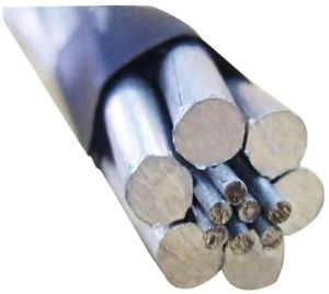 300A ACSR Dog Conductor Wire