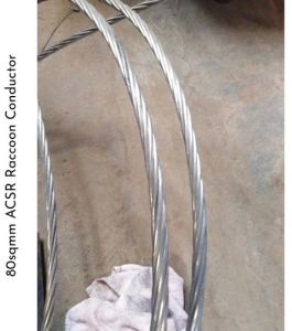 80 Sqmm ACSR Raccoon Conductor