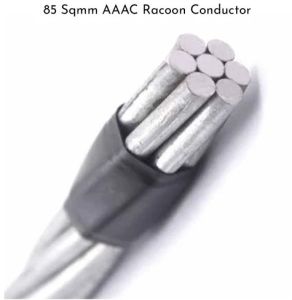 80 Sqmm AAAC Raccoon Conductor