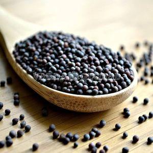 Black Mustard Seeds