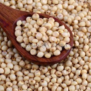 Sorghum Millets
