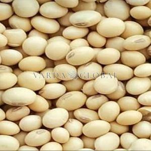 Soybean Seeds