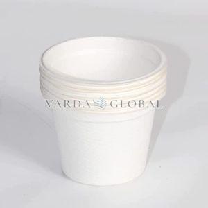 Sugarcane Bagasse Cups