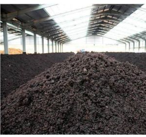 Organic Fertilizer