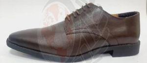 AT-D-27 Tremendous Mens Brown Leather Shoes