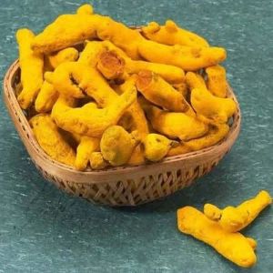 Fresh Raw Turmeric Finger