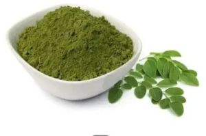 Organic Moringa Leaves Powder