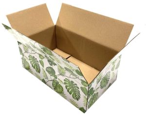 Printed Corrugated Box