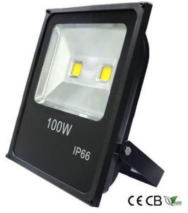 100W LED Flood Light