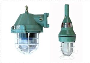 LED Industrial Flame Proof Light