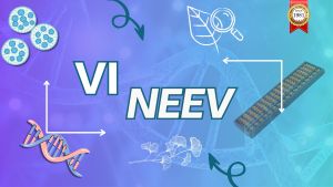 NEEV-VI Pre Foundation Course Service