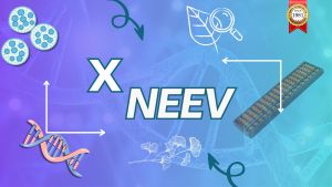 NEEV-X Pre Foundation Course Service