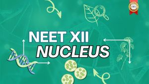 Nucleus for NEET UG Course Service