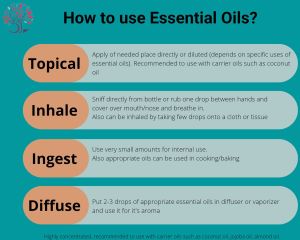 15ml Ressenso Basil Essential Oil
