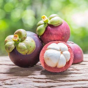 Fresh Mangosteen