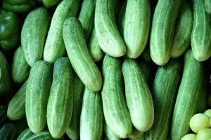 A Grade Natural Fresh Cucumber