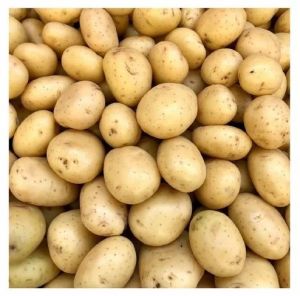 Brown Fresh Organic Potato